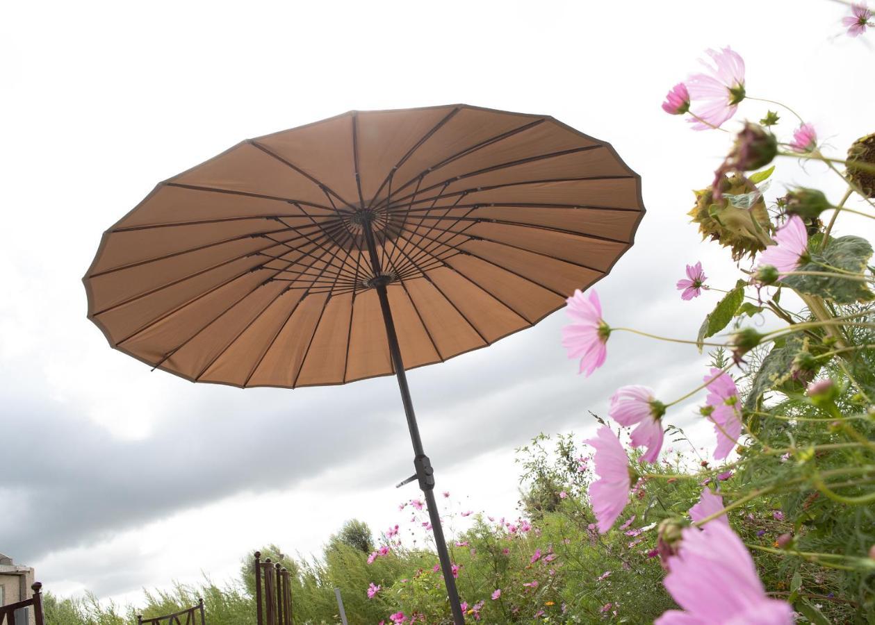 Landelijk vakantiehuis in Diksmuide met een tuin en vijver Buitenkant foto